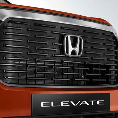 Stylish Alpha-Bold Signature Grille