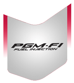 PGM-FI System